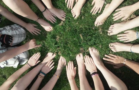 social-organization-day